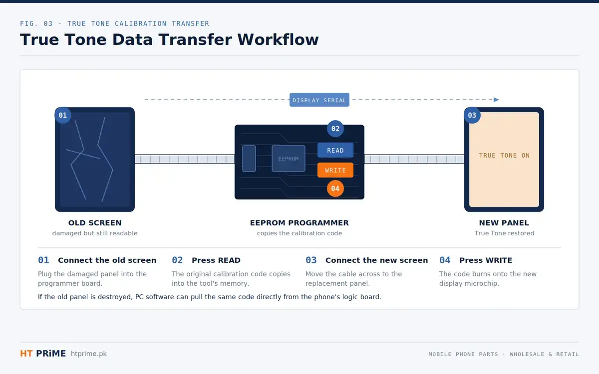 True Tone Transfer Workflow